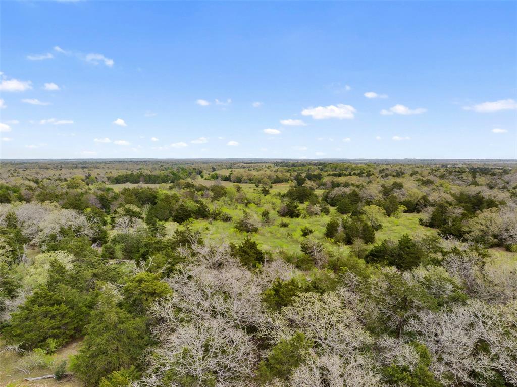 2003 Cr 332, Paige, Texas image 10