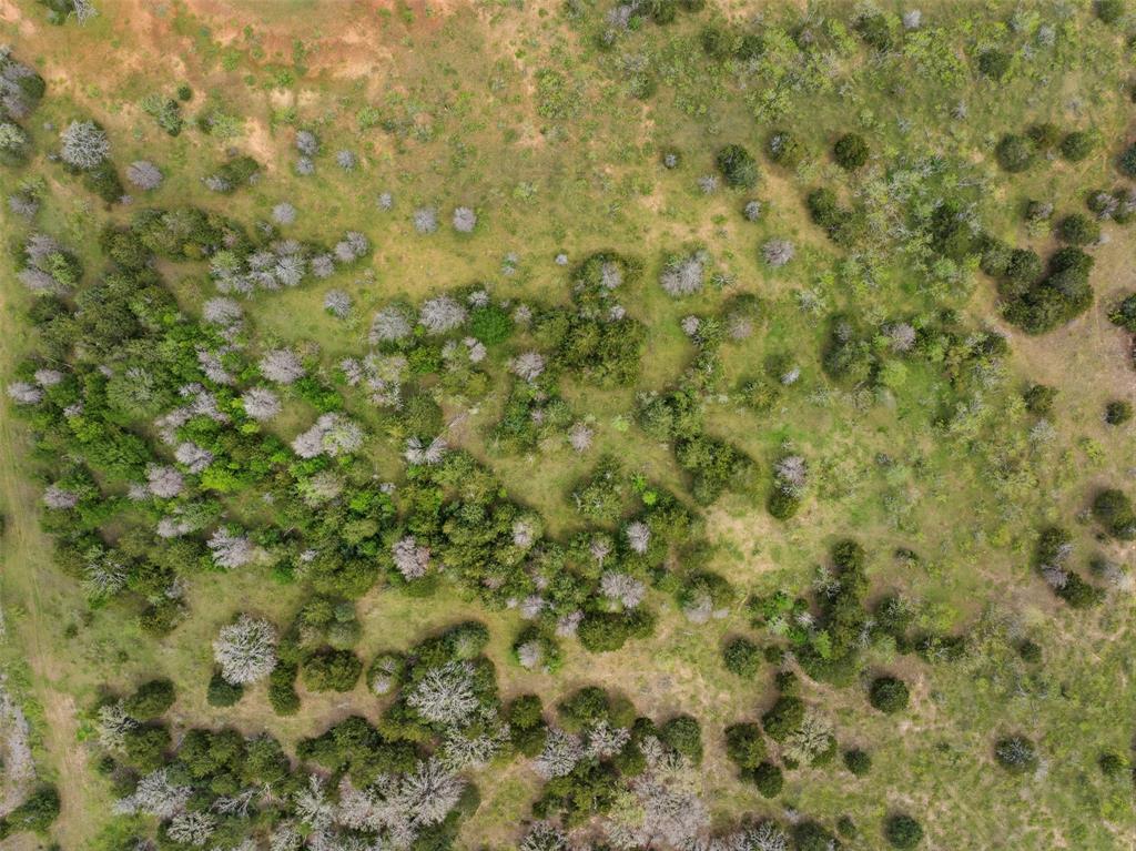 2003 Cr 332, Paige, Texas image 8