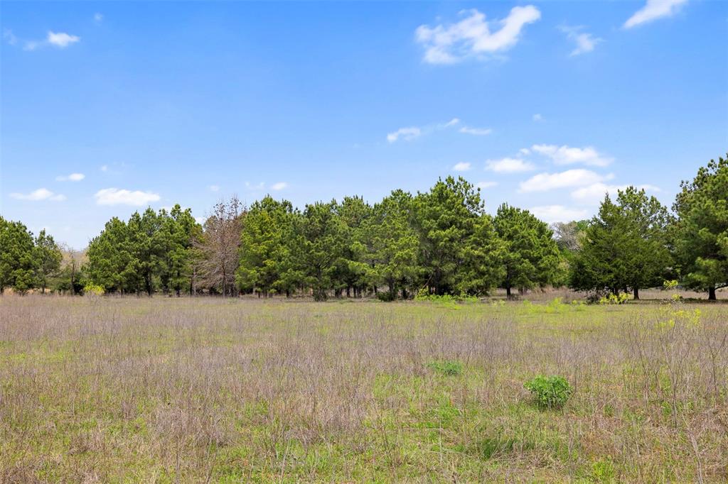 2003 Cr 332, Paige, Texas image 17