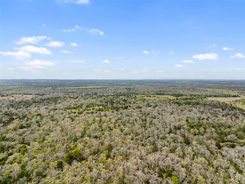 2003 Cr 332, Paige, Texas image 9