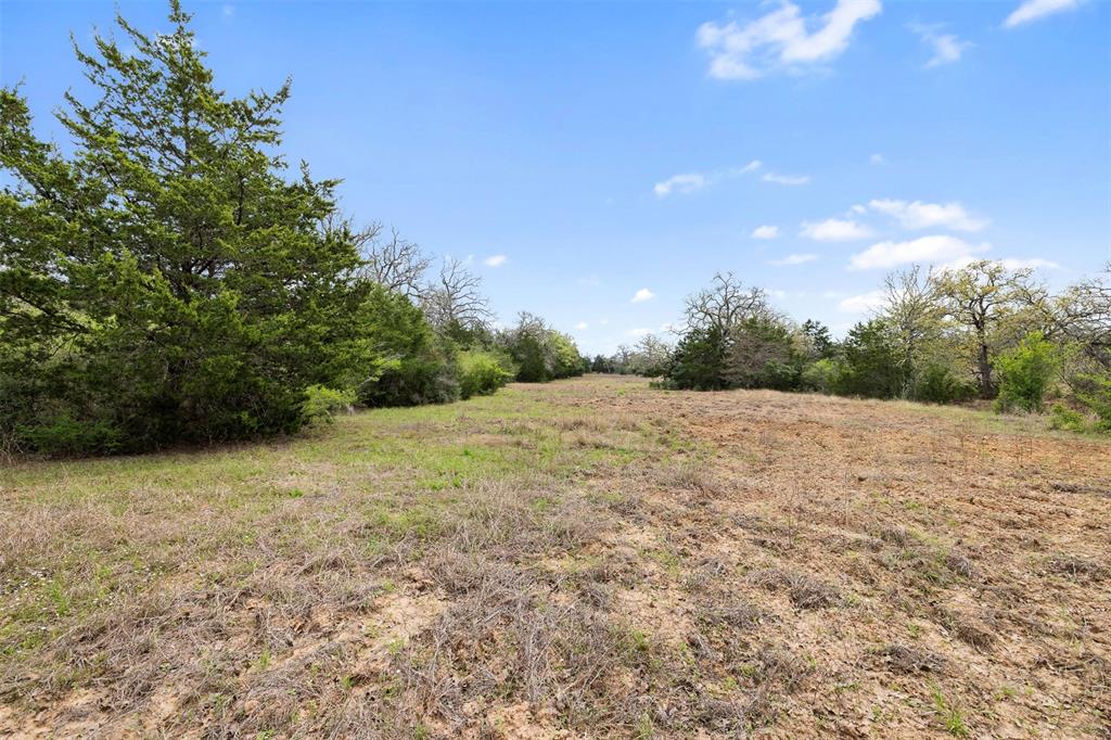 2003 Cr 332, Paige, Texas image 12