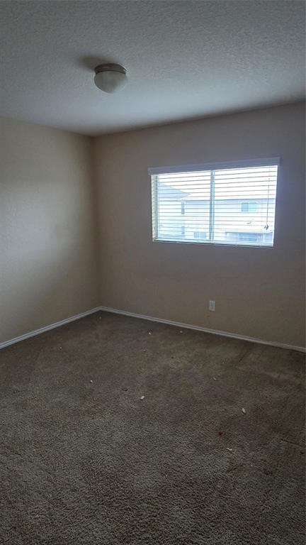 162 Palma Noce, San Antonio, Texas image 11