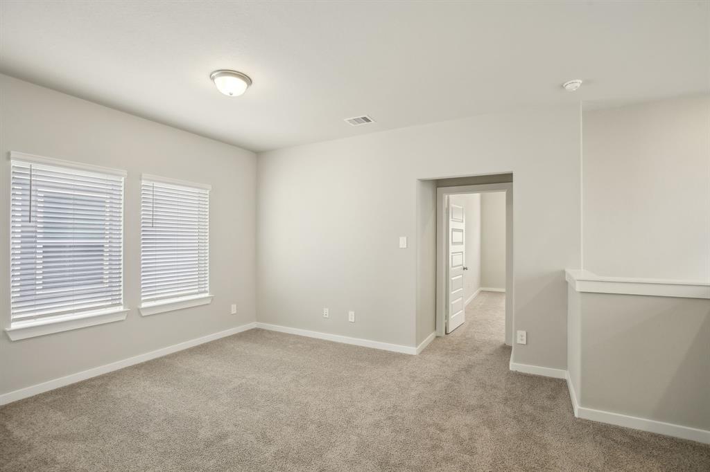 4120 Good Vineyard Lane, Houston, Texas image 16