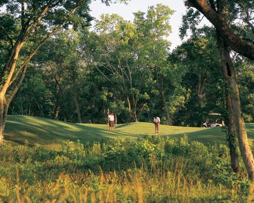 10922 Overlook Point Drive, Missouri City, Texas image 8