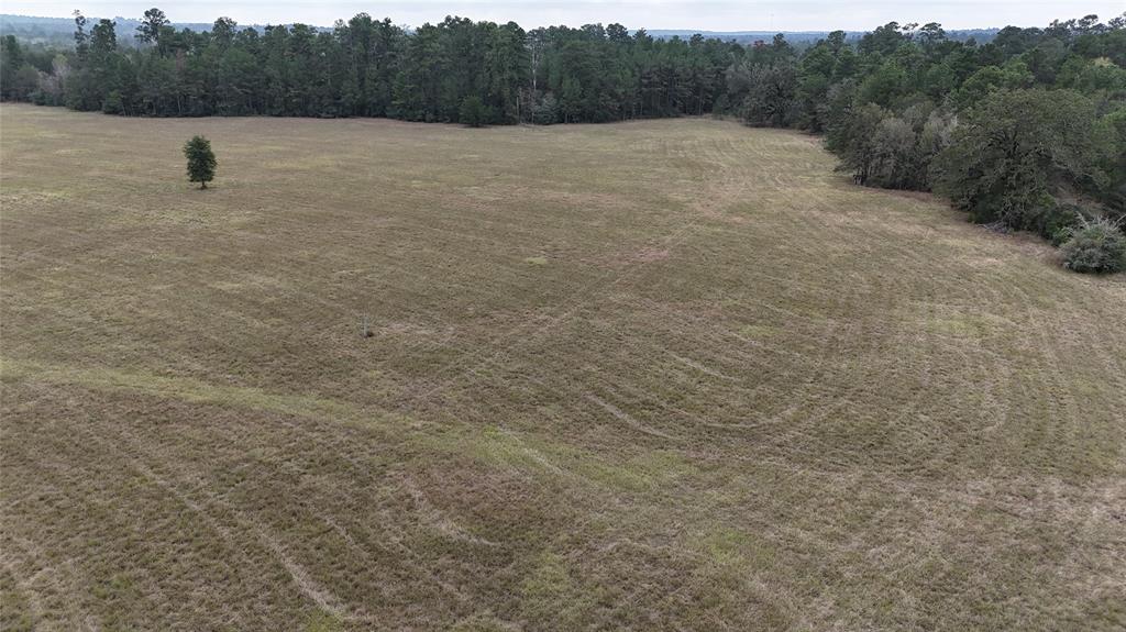 13.86 Acres Tract 3 Tbd Percy Howard Road, Huntsville, Texas image 4