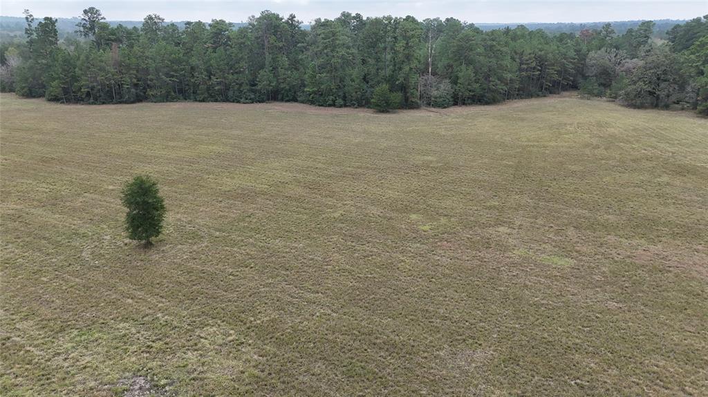 13.86 Acres Tract 3 Tbd Percy Howard Road, Huntsville, Texas image 6