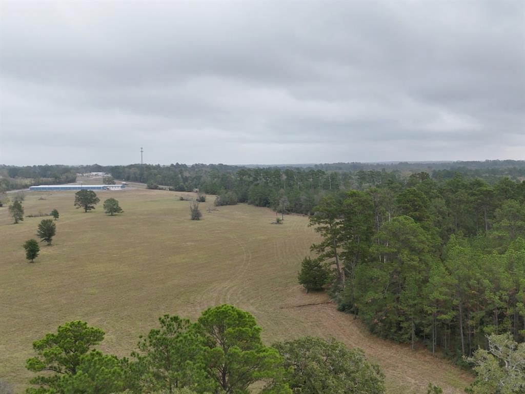 13.86 Acres Tract 3 Tbd Percy Howard Road, Huntsville, Texas image 8