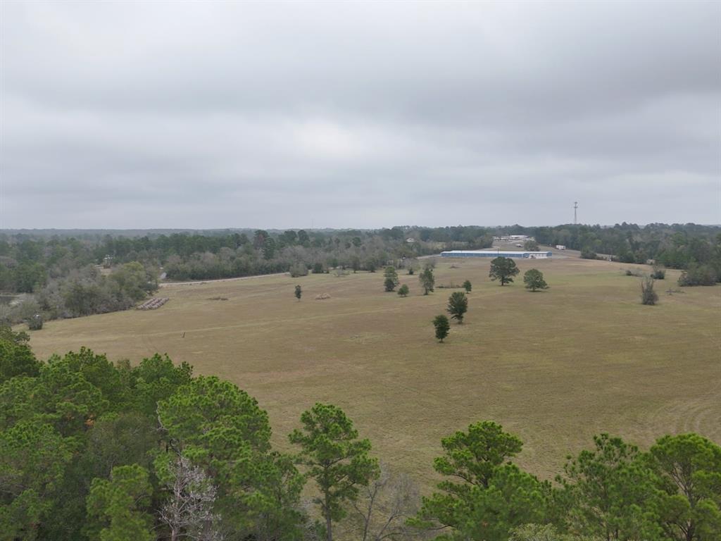 13.86 Acres Tract 3 Tbd Percy Howard Road, Huntsville, Texas image 9