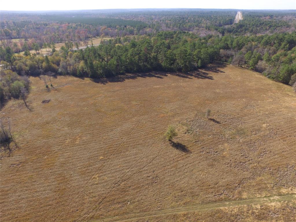 13.86 Acres Tract 3 Tbd Percy Howard Road, Huntsville, Texas image 11