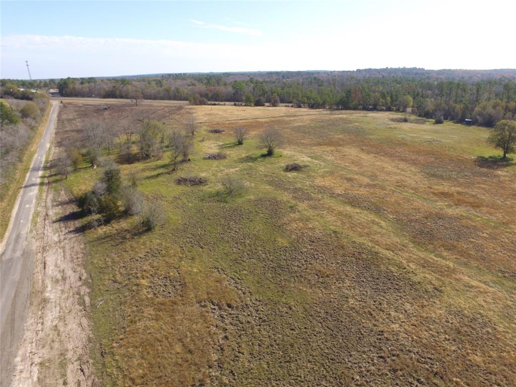 13.86 Acres Tract 3 Tbd Percy Howard Road, Huntsville, Texas image 10