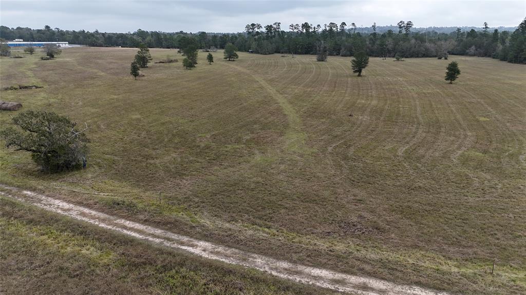 13.86 Acres Tract 3 Tbd Percy Howard Road, Huntsville, Texas image 1