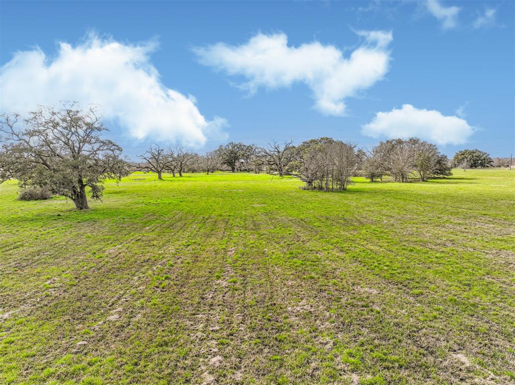 16503 Sun Valley Lane, Rosharon, Texas image 14