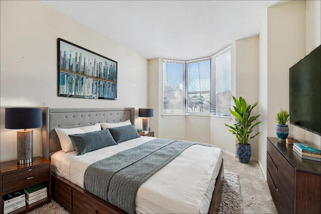 651 Bering Drive #204, Houston, Texas image 7