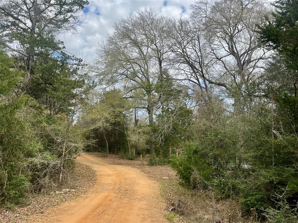 2330 Old Lockhart Road Rd, West Point, Texas image 5