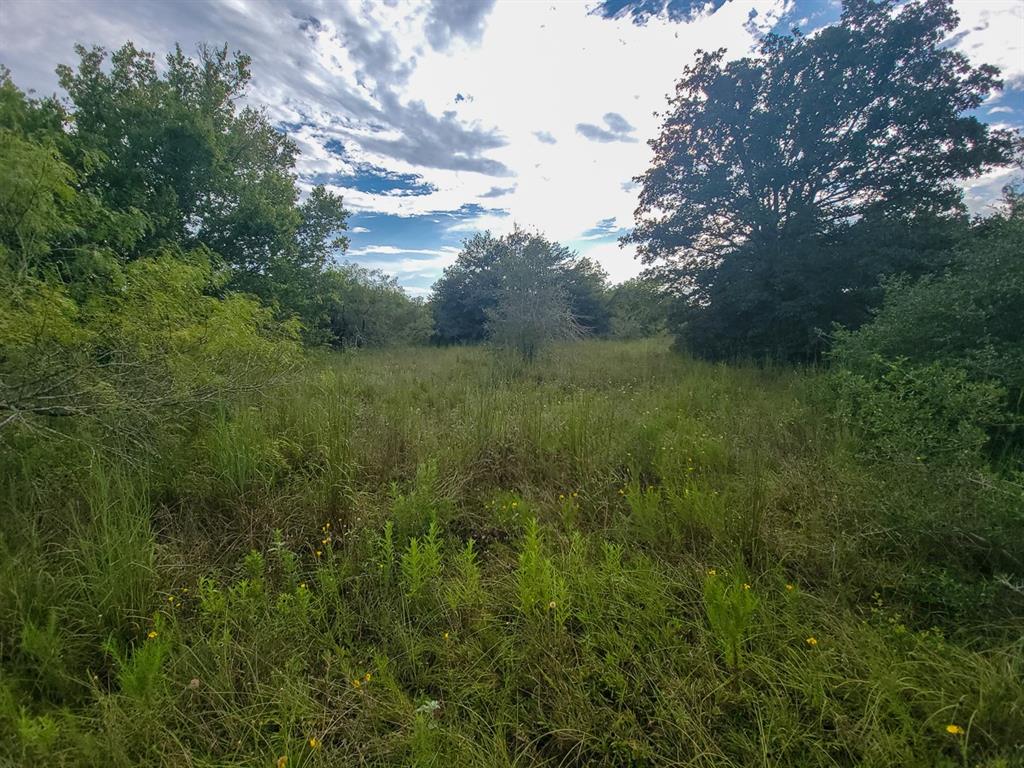 TBD Fm 1680, Waelder, Texas image 17