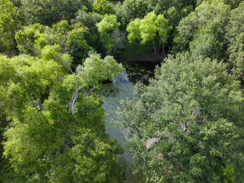 TBD Fm 1680, Waelder, Texas image 6