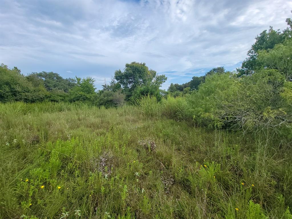 TBD Fm 1680, Waelder, Texas image 16