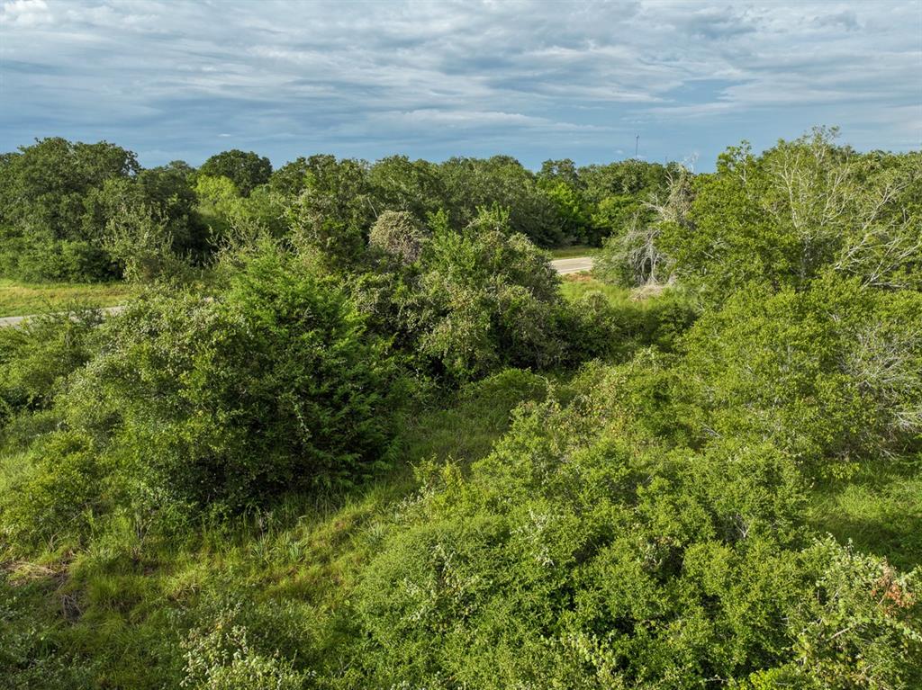 TBD Fm 1680, Waelder, Texas image 10