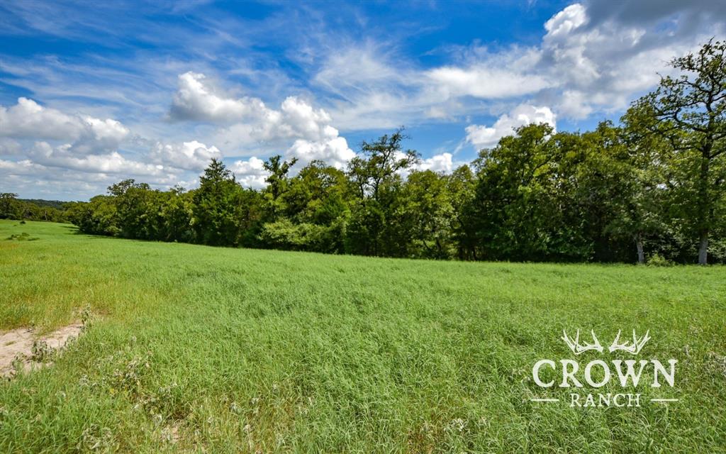 TBD FM 908 - 1057 acres