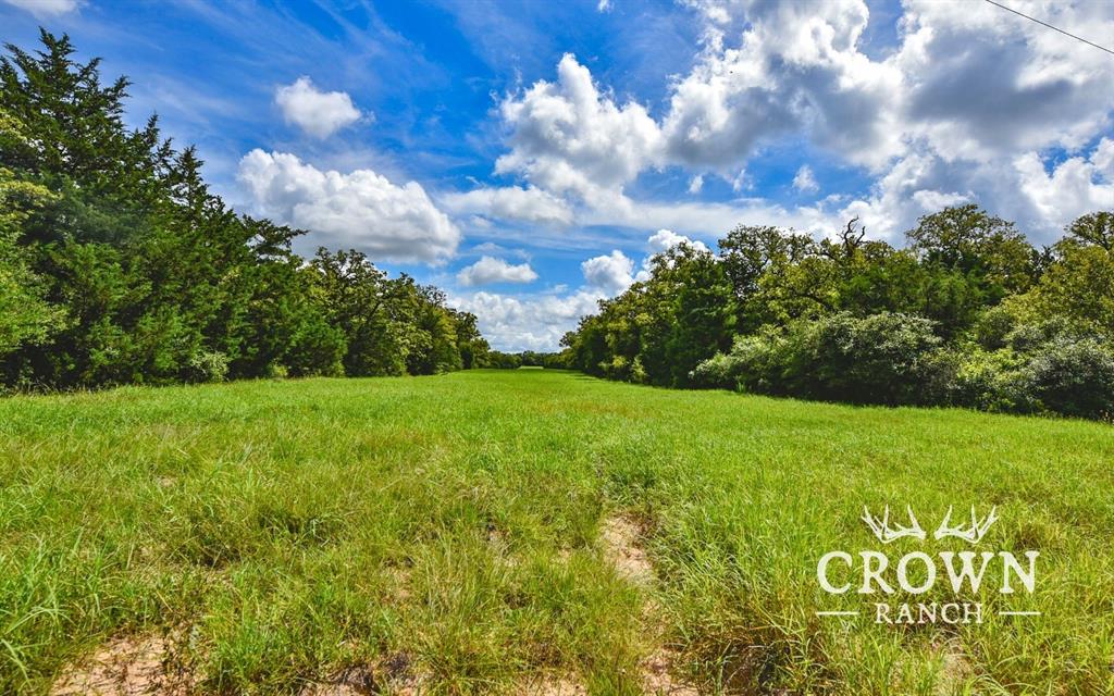 TBD FM 908 - 1057 acres