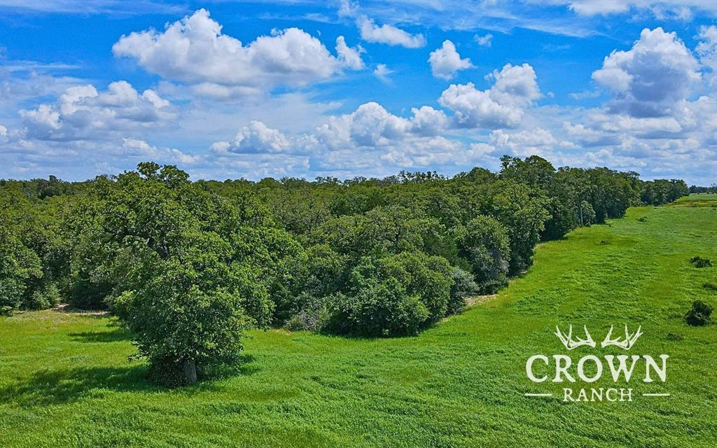 TBD FM 908 - 1057 acres