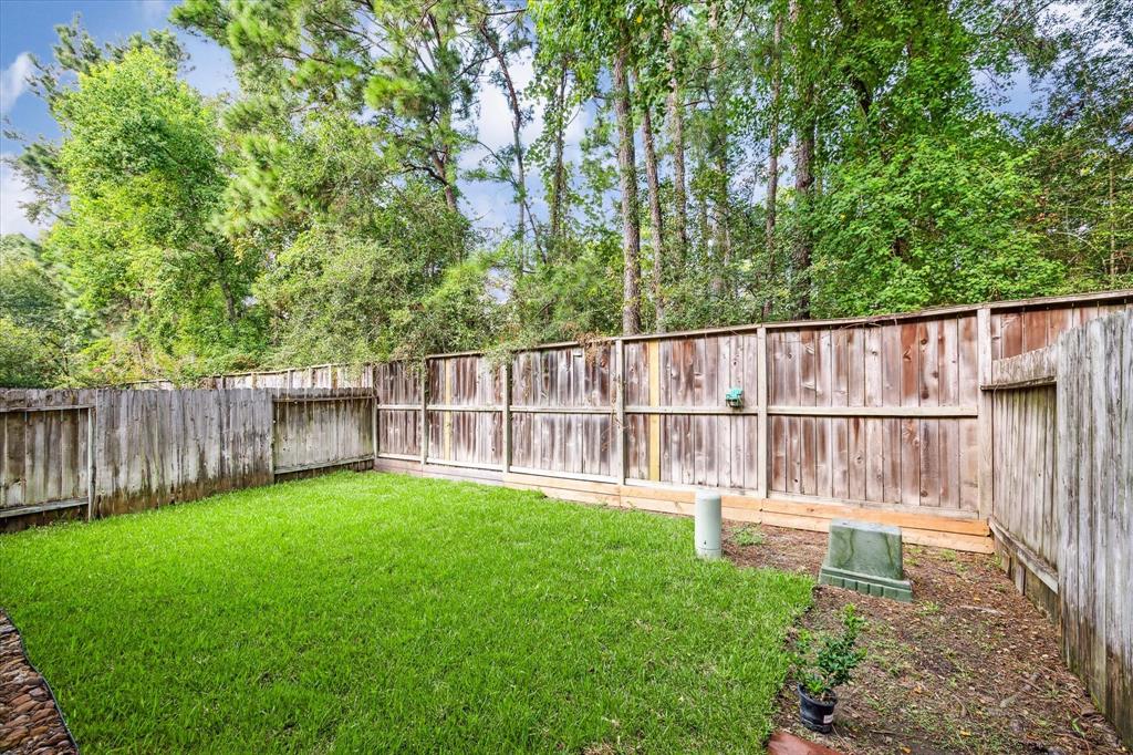 54 Leafstalk Court, Spring, Texas image 23