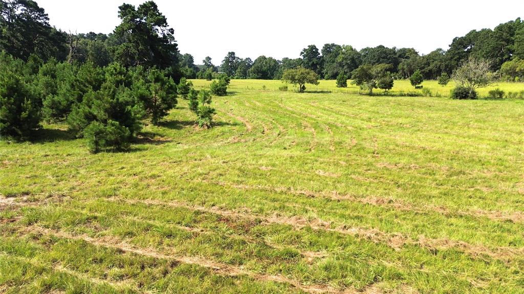 TBD Fm 2423, Grapeland, Texas image 11