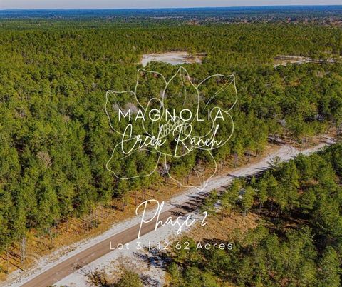 Photo of 23 Magnolia Ranch Road, Onalaska, TX 77360 (MLS # 53318702)