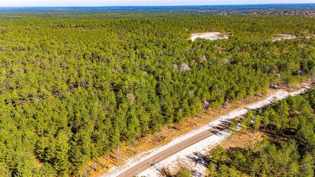 023 Magnolia Ranch Road, Onalaska, Texas image 2