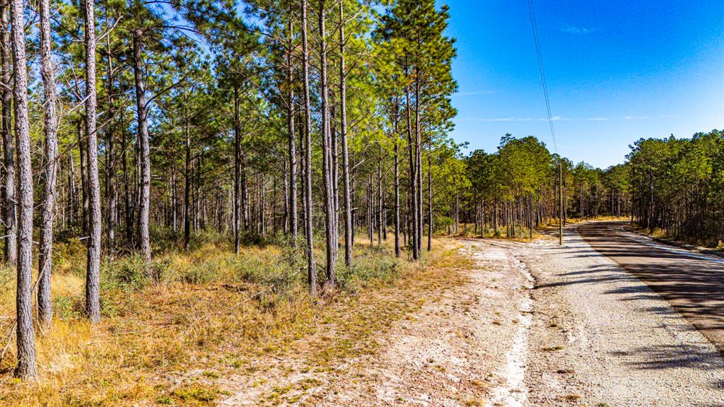 023 Magnolia Ranch Road, Onalaska, Texas image 6