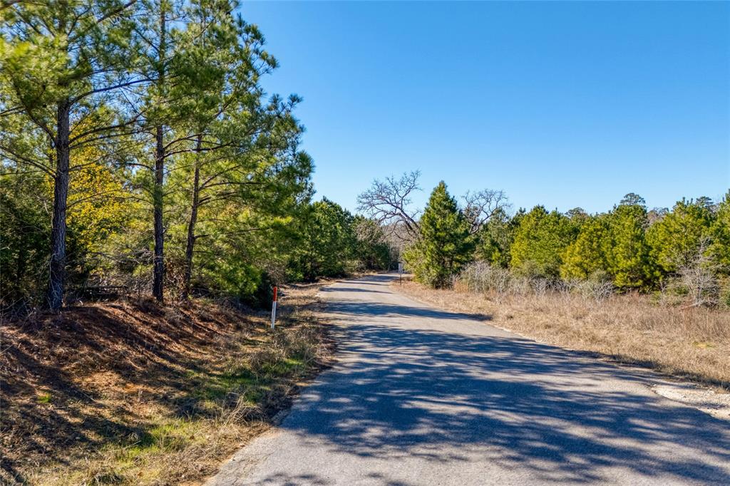 215-225 Pine Path, Bastrop, Texas image 5