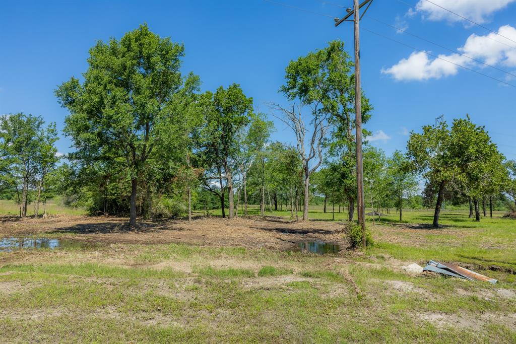 6575 Atakapan Trail Trl, Bedias, Texas image 3