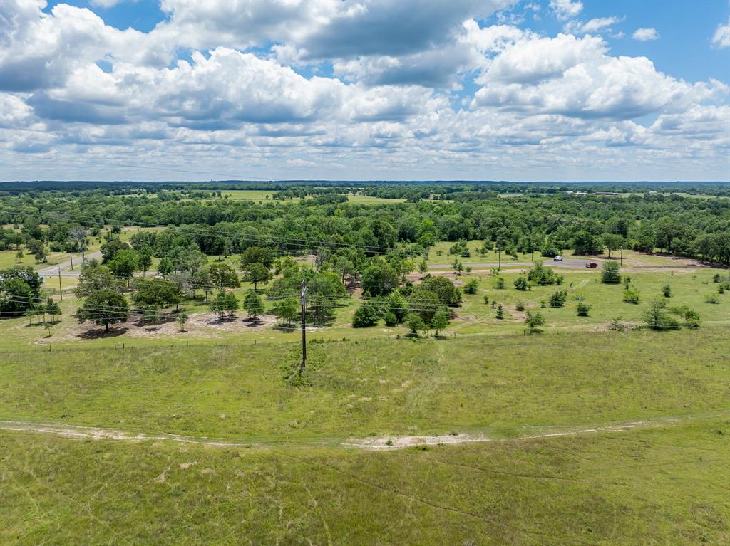 6575 Atakapan Trail Trl, Bedias, Texas image 7