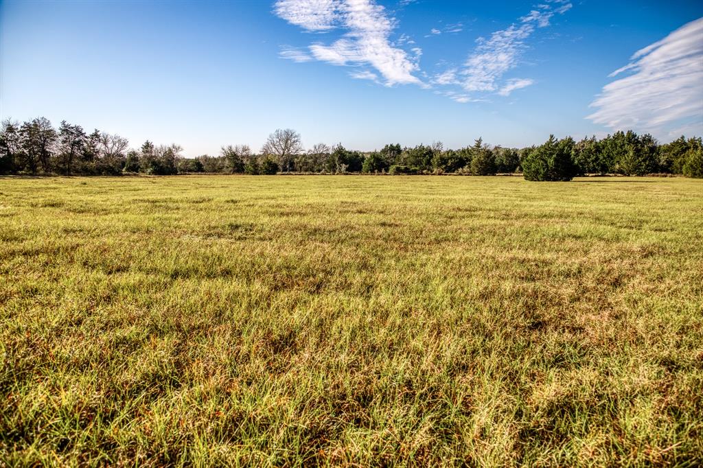 12337 Tulip Lane, Cat Spring, Texas image 41