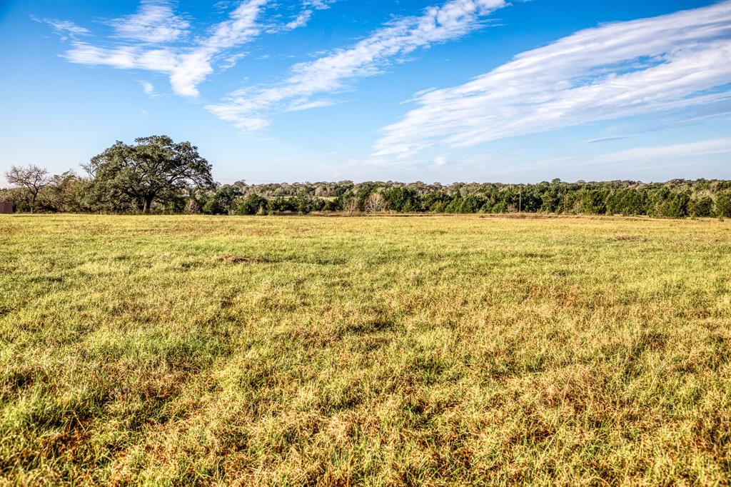 12337 Tulip Lane, Cat Spring, Texas image 38