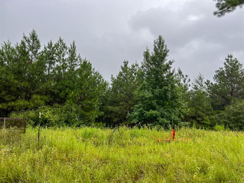 2 Off County Road 2064, Crockett, Texas image 7