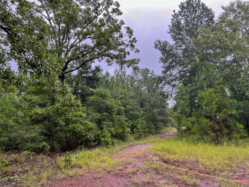 2 Off County Road 2064, Crockett, Texas image 9