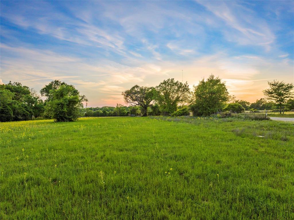 Lot 2 Lcr 740, Thornton, Texas image 6