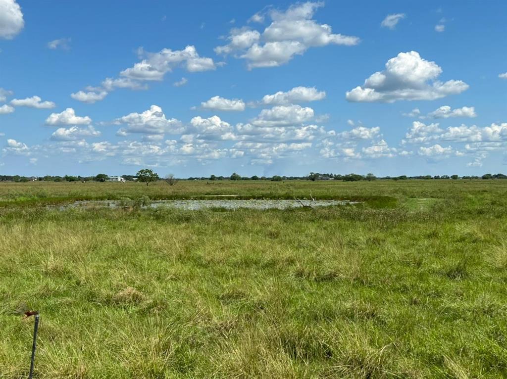 17002 Brumbelow Road, Needville, Texas image 8