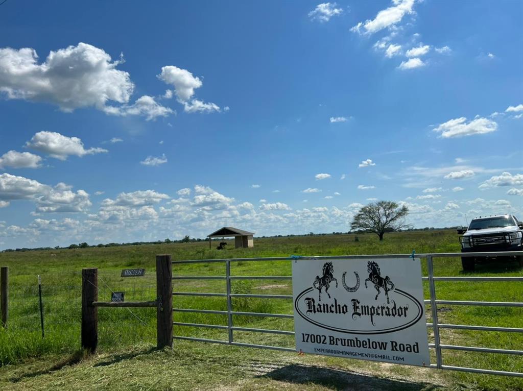 17002 Brumbelow Road, Needville, Texas image 10