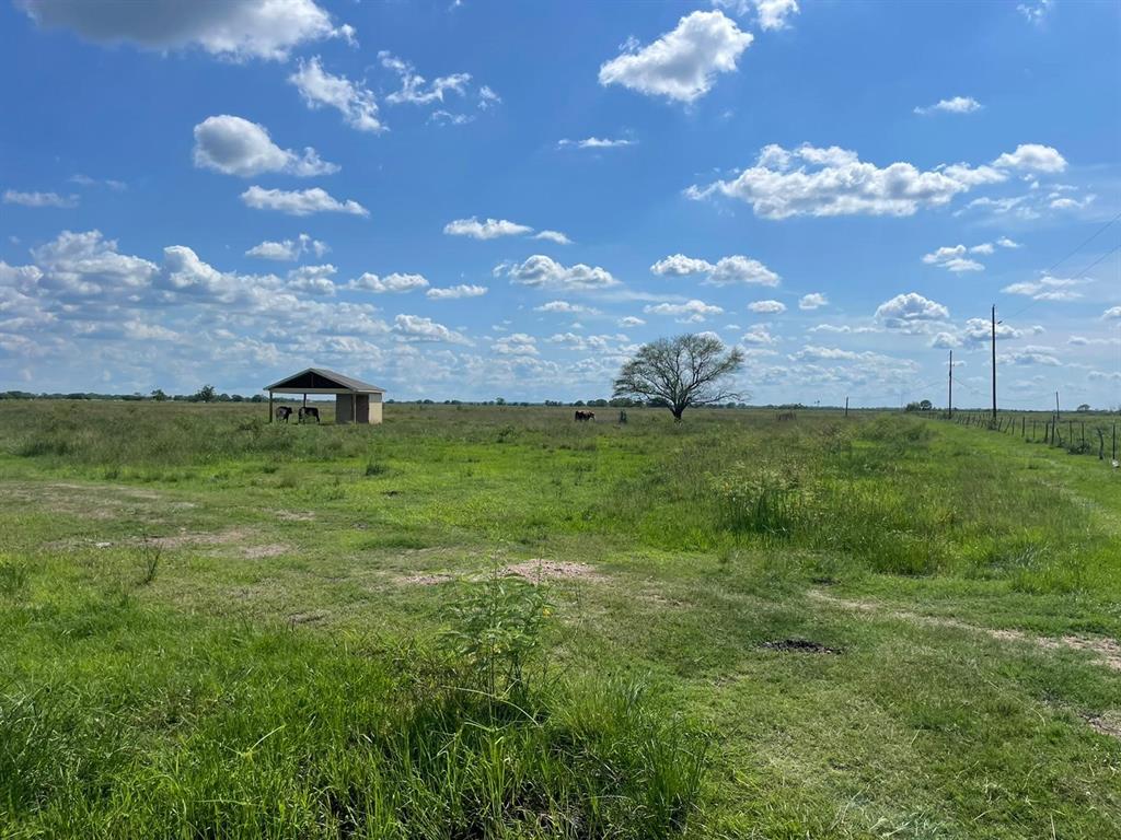 17002 Brumbelow Road, Needville, Texas image 5