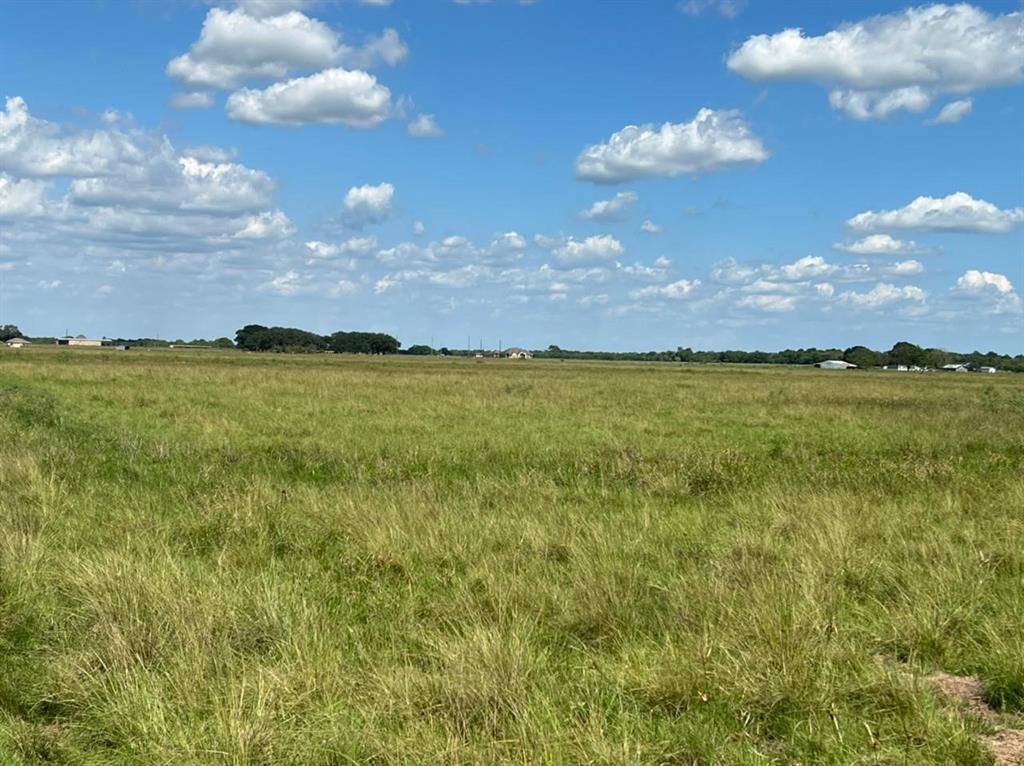 17002 Brumbelow Road, Needville, Texas image 7