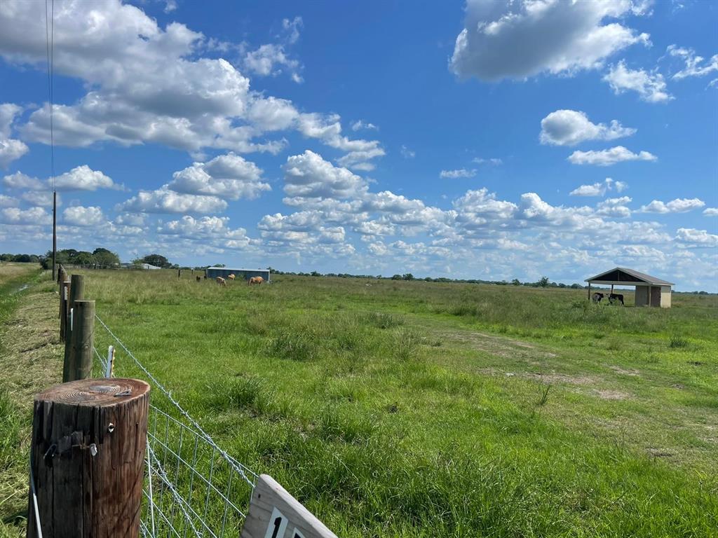 17002 Brumbelow Road, Needville, Texas image 6