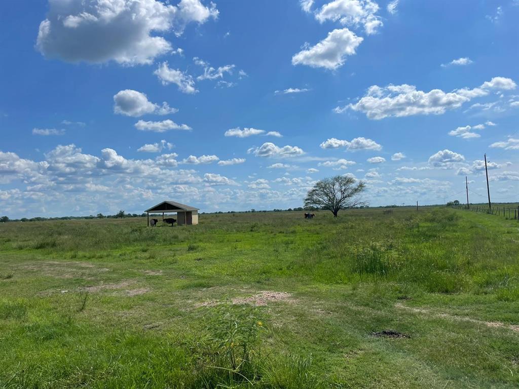 17002 Brumbelow Road, Needville, Texas image 4