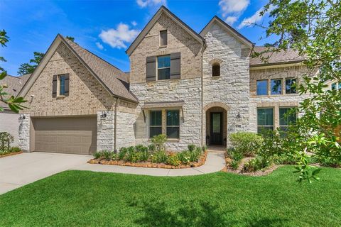235 Twilight Toast Drive Conroe TX 77304