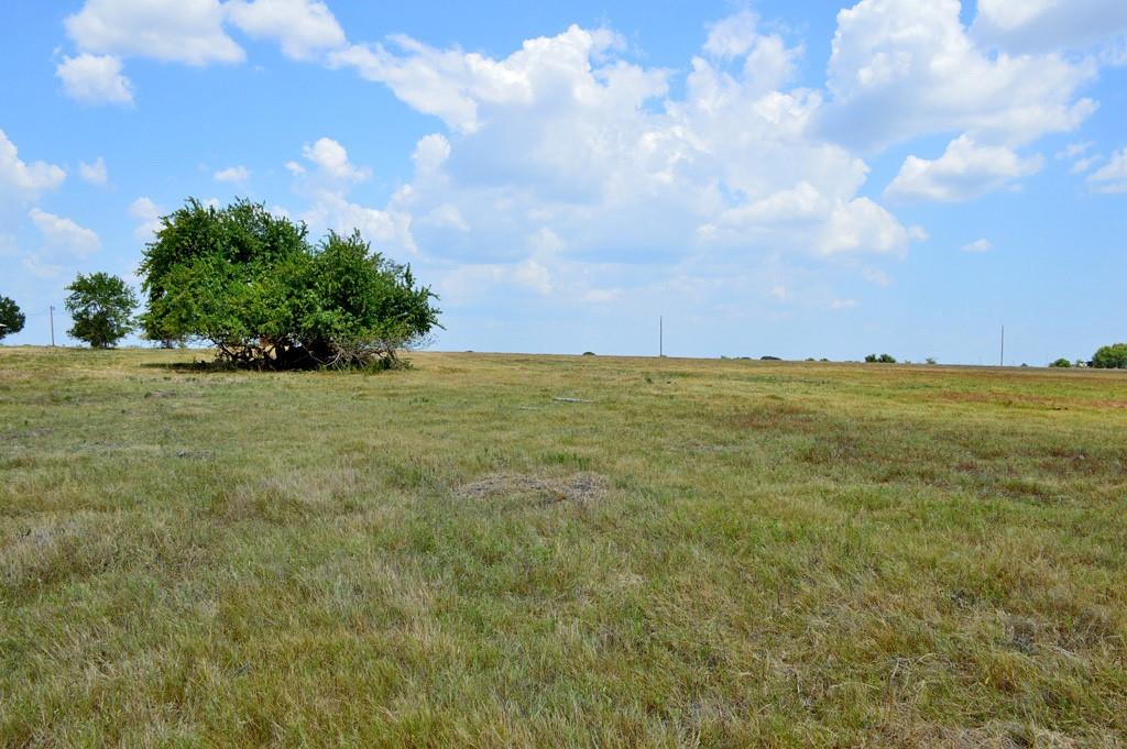 10698 Fm 1227, Navasota, Texas image 44