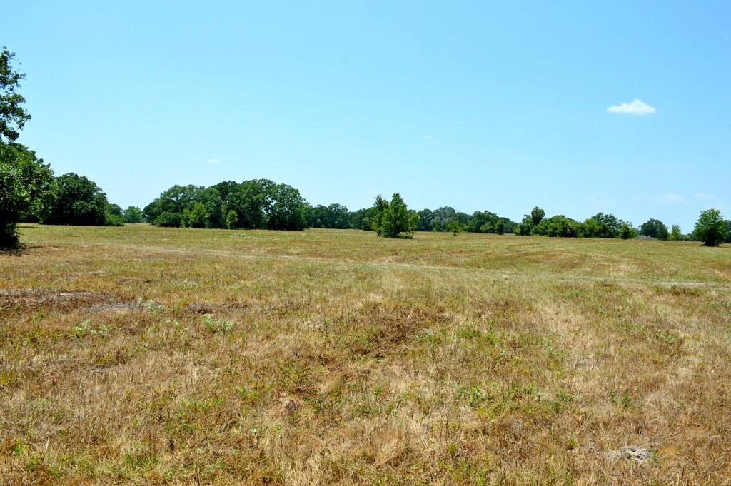 10698 Fm 1227, Navasota, Texas image 9