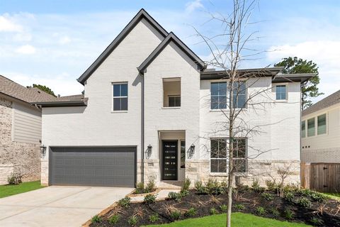 226 Butterfly Orchid Court Willis TX 77318