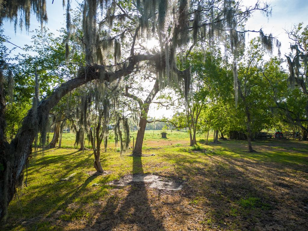 4261 County Road 506, Brazoria, Texas image 4