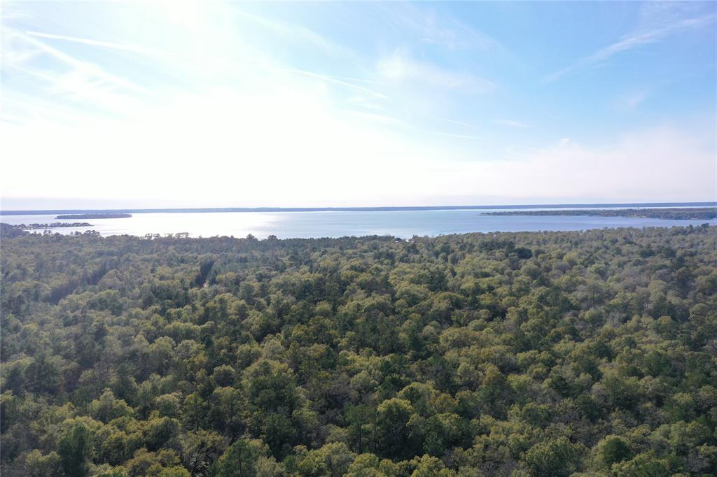 Tract B Mangum Road, Livingston, Texas image 4